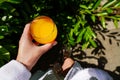 Hand holds orange juice in a glass on the background of nature and trees