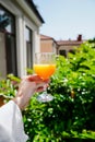 Hand holds orange juice in a glass on the background of nature and trees