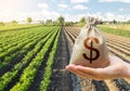 Hand holds out a dollar money bag on a background of a carrot plantation. Support and subsidies. Farm loans. Lending farmers