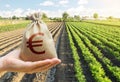 Hand holds out a euro y bag on a background of a carrot plantation. Support and subsidies. Lending farmers for purchase land