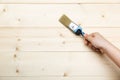 painting wood with antiseptic impregnation. Royalty Free Stock Photo