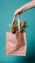 Hand holds paper Shopping bag with marijuana. Prescription of nakotic drugs in oncological practice concept.