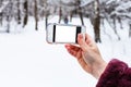 Hand holds phone with cutout screen in forest