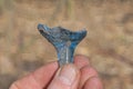 hand holds a piece of blue glass from a broken wine glass Royalty Free Stock Photo