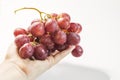 The hand holds red grapes.