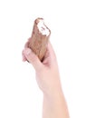 Hand holds a roll of chocolate ice cream Royalty Free Stock Photo