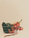 Hand holds shopping cart with vegetables Royalty Free Stock Photo