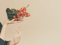 Hand holds shopping cart with vegetables Royalty Free Stock Photo