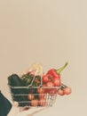 Hand holds shopping cart with vegetables Royalty Free Stock Photo