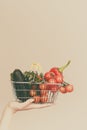 Hand holds shopping cart with vegetables Royalty Free Stock Photo