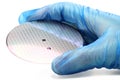 Silicon wafer Royalty Free Stock Photo
