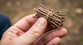 A hand holds a small bundle Royalty Free Stock Photo