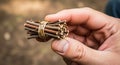 A hand holds a small bundle Royalty Free Stock Photo