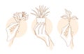 Hand holds sprout or flower, line drawing in minimalistic trendy style Royalty Free Stock Photo