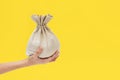 Hand holds bag on a yellow background Royalty Free Stock Photo