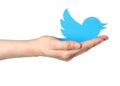 Hand holds twitter logotype bird