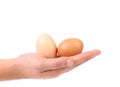 Hand holds two eggs Royalty Free Stock Photo