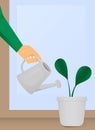 A hand holds a watering can and watered a flower.