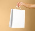 Hand holds a white gift bag Royalty Free Stock Photo