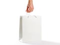 Hand holds a white gift bag. on white background Royalty Free Stock Photo