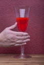 Hand holds wine glass Royalty Free Stock Photo