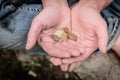 Hand of homeless beggar asks for alms, help, money and food on concrete. Beggar begging on the street. Poverty concept. Royalty Free Stock Photo