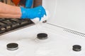 The hand of a housewife girl in a latex household glove squeezes a sponge with foam over a gas stove and burners in the kitchen, Royalty Free Stock Photo