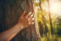 Hand hugs a tree trunk in the forest. Concept for protection against deforestation, climate change and pollution. Generative AI Royalty Free Stock Photo