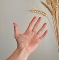 Hand of hungry man Royalty Free Stock Photo