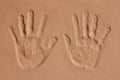 Hand imprint