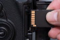hand insert SD card in camera
