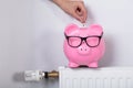 Hand Inserting Coin In Piggy Bank On Radiator