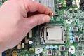Hand installing a computer processor into the motherboard socket for upgrade or repair Royalty Free Stock Photo
