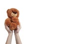 Hand isolated small toy bear Royalty Free Stock Photo