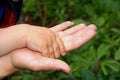 Hand of the kid on a palm of mum