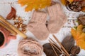 Hand-knitted brown baby socks, on white wooden background with autumn decorations Royalty Free Stock Photo