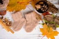 Hand-knitted brown baby socks, on white wooden background with autumn decorations Royalty Free Stock Photo