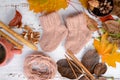 Hand-knitted brown baby socks, on white wooden background with autumn decorations Royalty Free Stock Photo