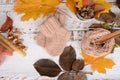 Hand-knitted brown baby socks, on white wooden background with autumn decorations Royalty Free Stock Photo