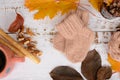 Hand-knitted brown baby socks, on white wooden background with autumn decorations Royalty Free Stock Photo