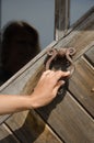 Hand knock retro rusty door handle ringer knocker Royalty Free Stock Photo