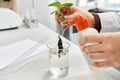 hand of a lab worker watering a plant root