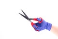 Hand in a latex glove holding scissors on white wall with copy space. Cut prices during a quarantine. Space for text Royalty Free Stock Photo