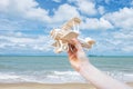 Hand launching wood airplane go to sea and blue sky in cloudy da Royalty Free Stock Photo