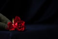 a hand lays a dark red rose on a Gothic-style table covered with a black tablecloth