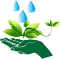 Hand leaf and water drop plant concept vector icon Royalty Free Stock Photo