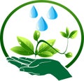 Hand leaf and water drop plant concept vector icon Royalty Free Stock Photo