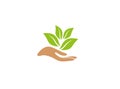 Hand and leaves for plant care for logo