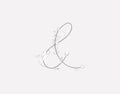 Hand Lettering floral Ampersand monogram and logo