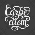 Hand lettering typography poster Carpe diem Royalty Free Stock Photo